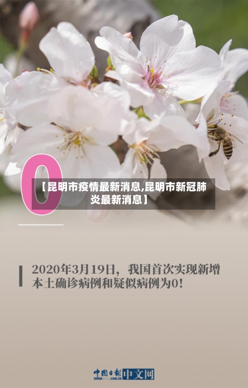 【昆明市疫情最新消息,昆明市新冠肺炎最新消息】-第3张图片