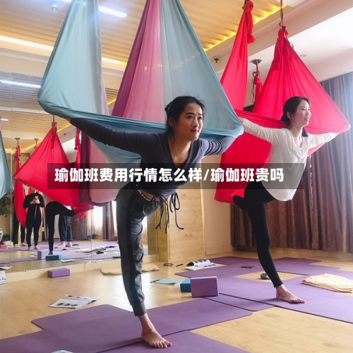 瑜伽班费用行情怎么样/瑜伽班贵吗-第2张图片