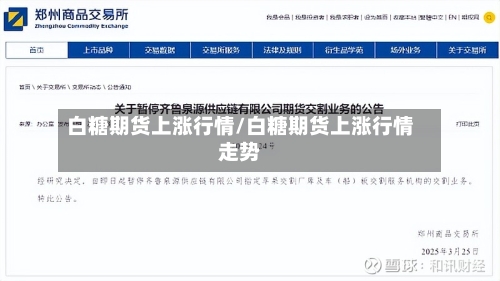 白糖期货上涨行情/白糖期货上涨行情走势