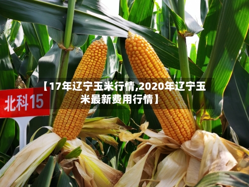 【17年辽宁玉米行情,2020年辽宁玉米最新费用行情】