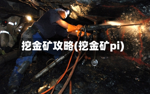 挖金矿攻略(挖金矿pi)-第3张图片