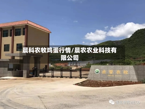 晨科农牧鸡蛋行情/晨农农业科技有限公司