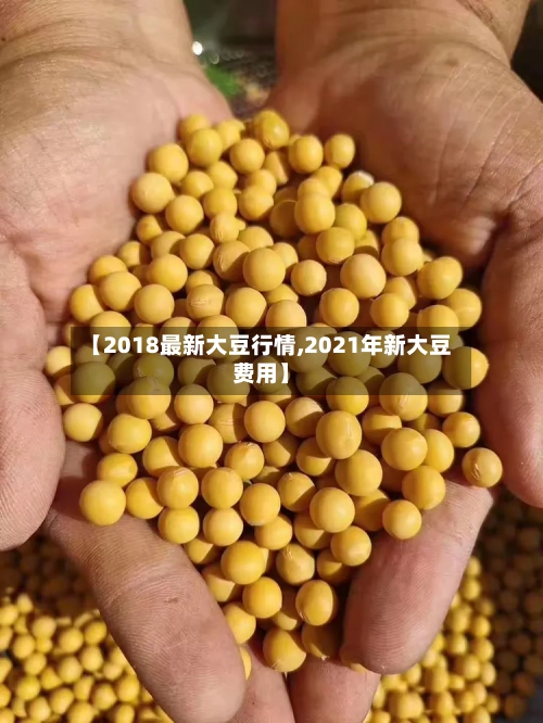 【2018最新大豆行情,2021年新大豆费用】