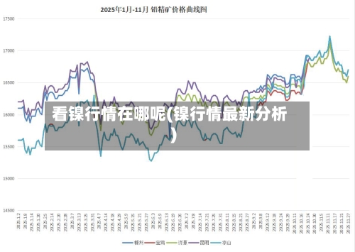 看镍行情在哪呢(镍行情最新分析)-第1张图片