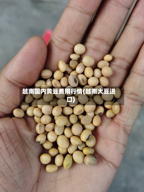 越南国内黄豆费用行情(越南大豆进口)-第1张图片