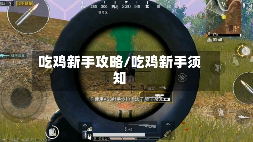 吃鸡新手攻略/吃鸡新手须知-第2张图片