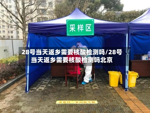 28号当天返乡需要核酸检测吗/28号当天返乡需要核酸检测吗北京-第2张图片