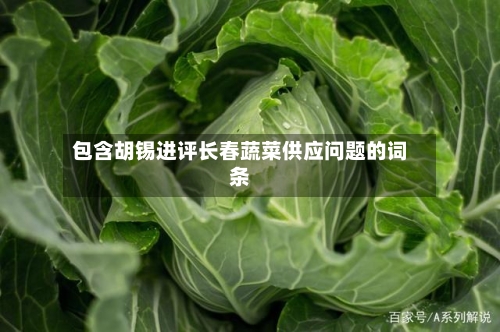 包含胡锡进评长春蔬菜供应问题的词条-第1张图片