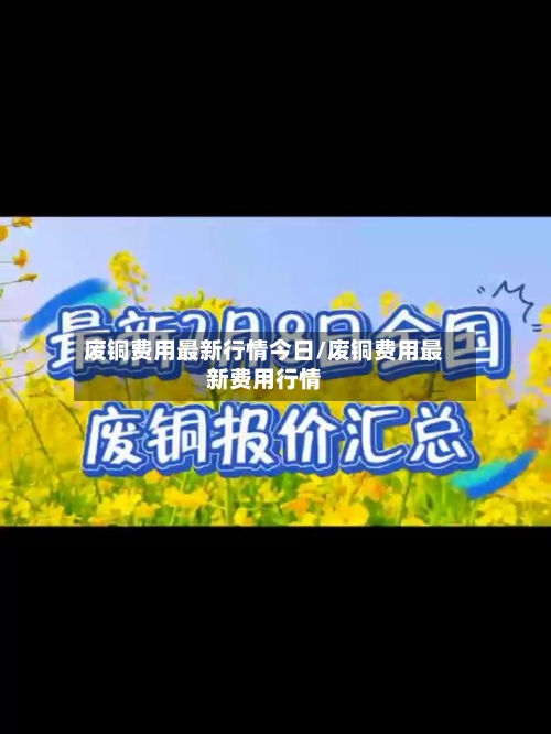 废铜费用最新行情今日/废铜费用最新费用行情-第3张图片