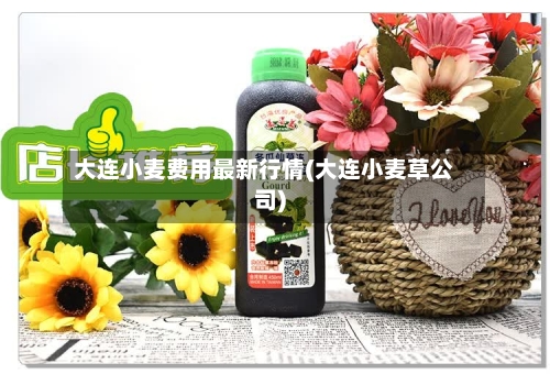 大连小麦费用最新行情(大连小麦草公司)-第1张图片