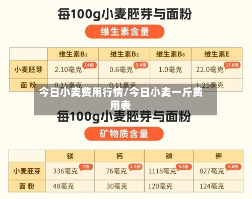 今日小麦费用行情/今日小麦一斤费用表-第2张图片