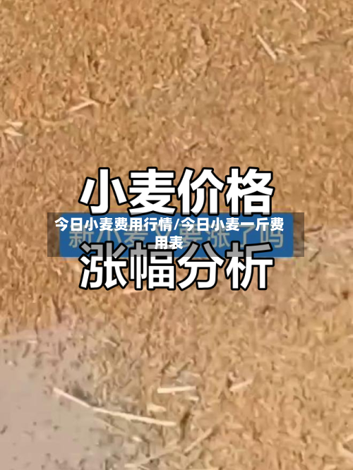今日小麦费用行情/今日小麦一斤费用表-第3张图片