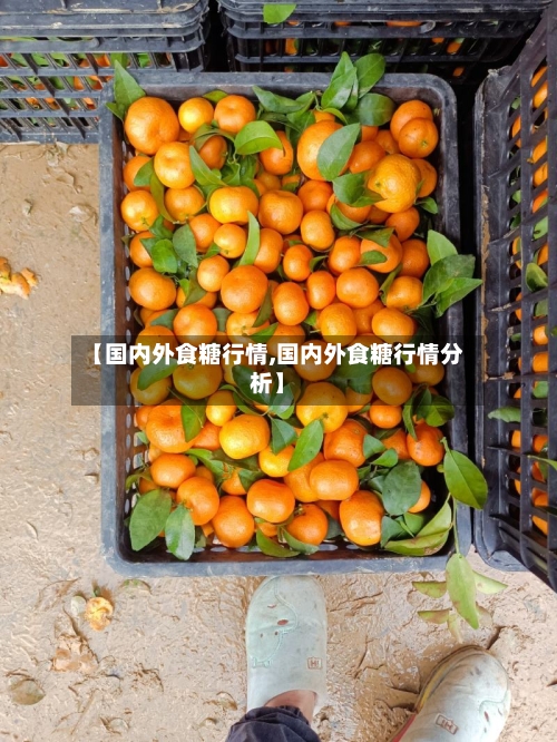 【国内外食糖行情,国内外食糖行情分析】-第2张图片
