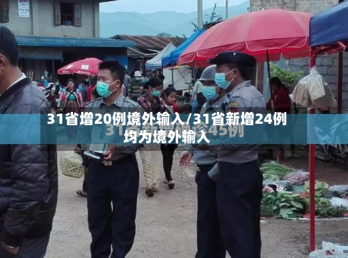 31省增20例境外输入/31省新增24例均为境外输入