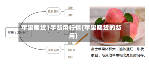 苹果期货1手费用行情(苹果期货的费用)-第2张图片