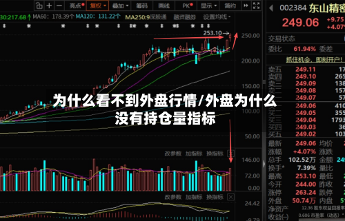 为什么看不到外盘行情/外盘为什么没有持仓量指标-第2张图片