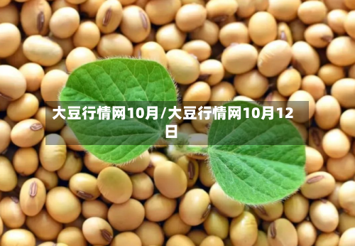 大豆行情网10月/大豆行情网10月12日