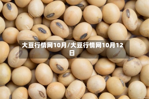 大豆行情网10月/大豆行情网10月12日-第3张图片