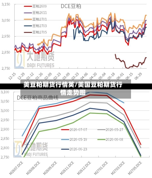 美豆粕期货行情英/美国豆粕期货行情走势图-第3张图片
