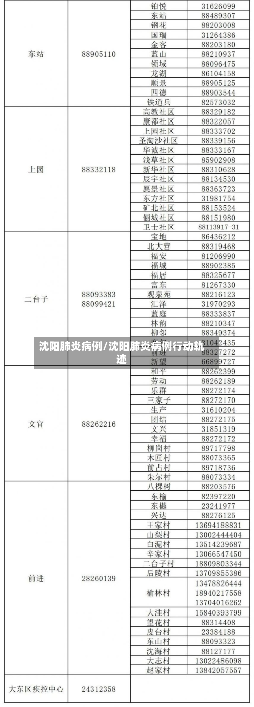沈阳肺炎病例/沈阳肺炎病例行动轨迹
