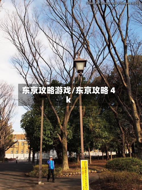 东京攻略游戏/东京攻略 4k