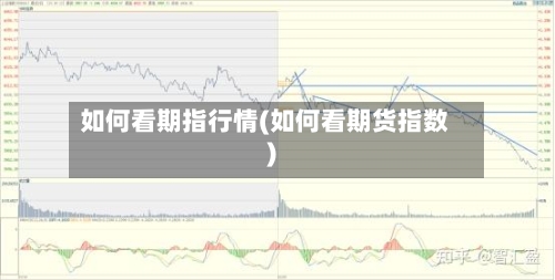 如何看期指行情(如何看期货指数)