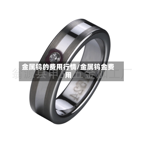 金属钨的费用行情/金属钨金费用