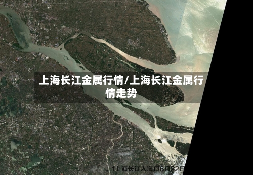 上海长江金属行情/上海长江金属行情走势