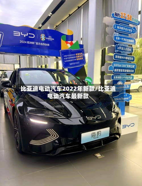 比亚迪电动汽车2022年新款/比亚迪电动汽车最新款-第3张图片