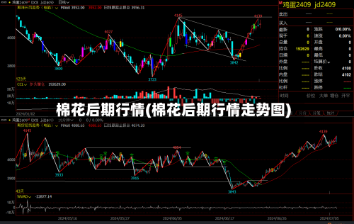 棉花后期行情(棉花后期行情走势图)-第3张图片