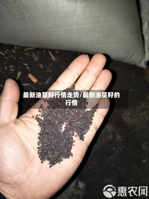 最新油菜籽行情走势/最新油菜籽的行情-第2张图片