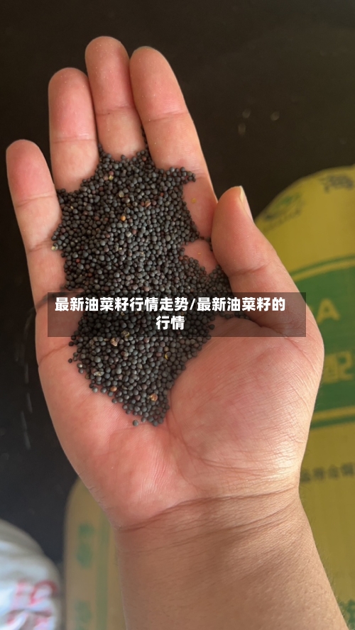 最新油菜籽行情走势/最新油菜籽的行情-第3张图片