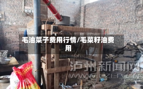 毛油菜子费用行情/毛菜籽油费用