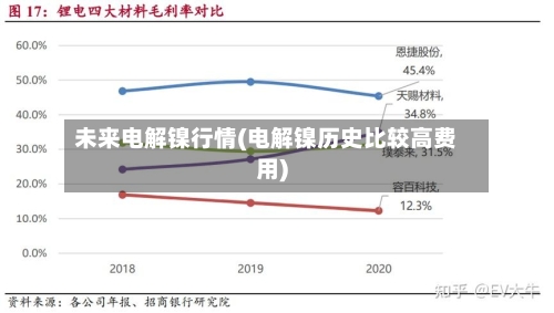 未来电解镍行情(电解镍历史比较高费用)-第3张图片