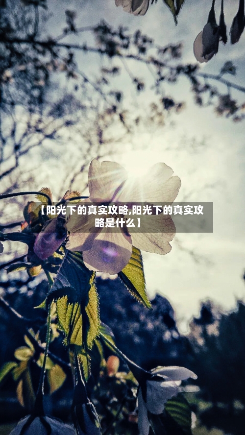【阳光下的真实攻略,阳光下的真实攻略是什么】