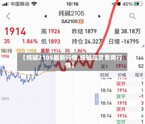 【纯碱2105最新行情,纯碱现货费用行情】