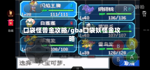 口袋怪兽金攻略/gba口袋妖怪金攻略-第3张图片