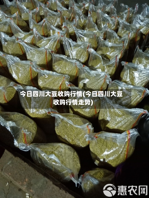 今日四川大豆收购行情(今日四川大豆收购行情走势)-第2张图片