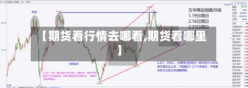 【期货看行情去哪看,期货看哪里】