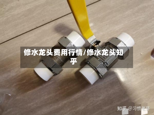 修水龙头费用行情/修水龙头知乎-第1张图片