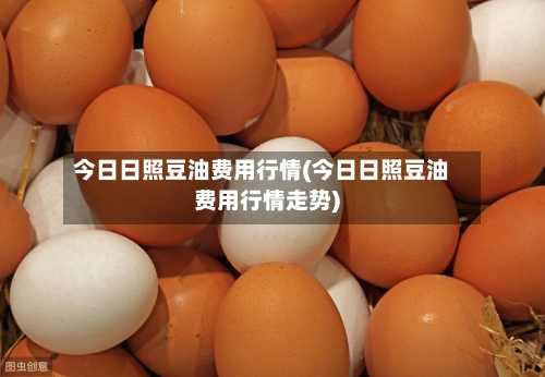 今日日照豆油费用行情(今日日照豆油费用行情走势)-第3张图片
