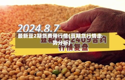 最新豆2期货费用行情(豆期货行情走势分析)-第2张图片