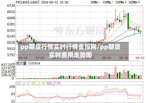 pp期货行情实时行情金投网/pp期货实时费用走势图