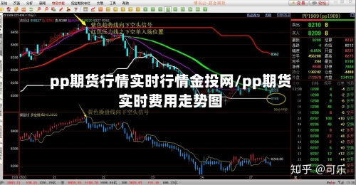 pp期货行情实时行情金投网/pp期货实时费用走势图-第3张图片