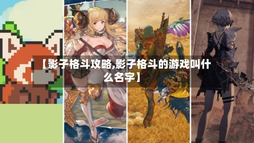【影子格斗攻略,影子格斗的游戏叫什么名字】