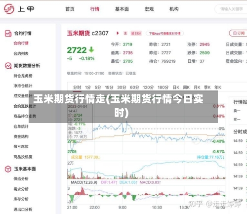 玉米期货行情走(玉米期货行情今日实时)
