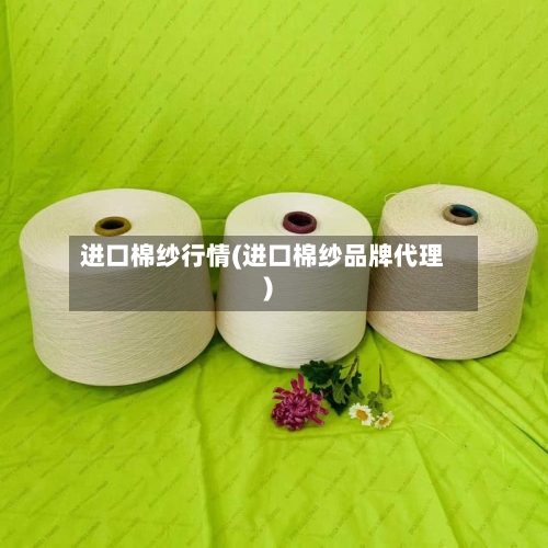 进口棉纱行情(进口棉纱品牌代理)-第3张图片