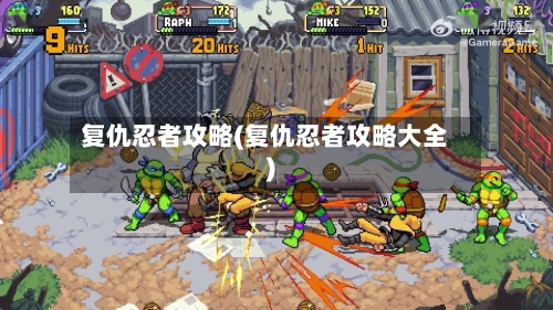 复仇忍者攻略(复仇忍者攻略大全)