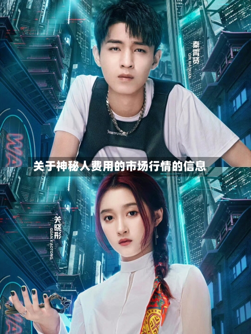关于神秘人费用的市场行情的信息