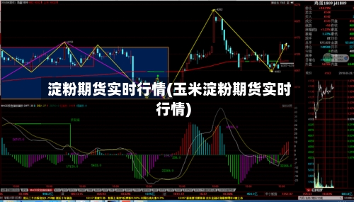 淀粉期货实时行情(玉米淀粉期货实时行情)-第1张图片